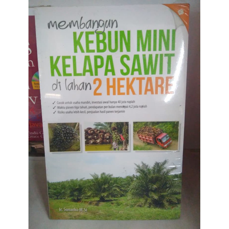 Membangun kebun mini kelapa sawit di lahan 2 hektare