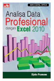 Analisa Data Profesional dengan Excel 2010 / Djoko Pramono