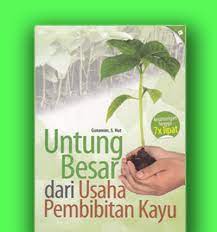 Untung besar dari usaha pembibitan kayu