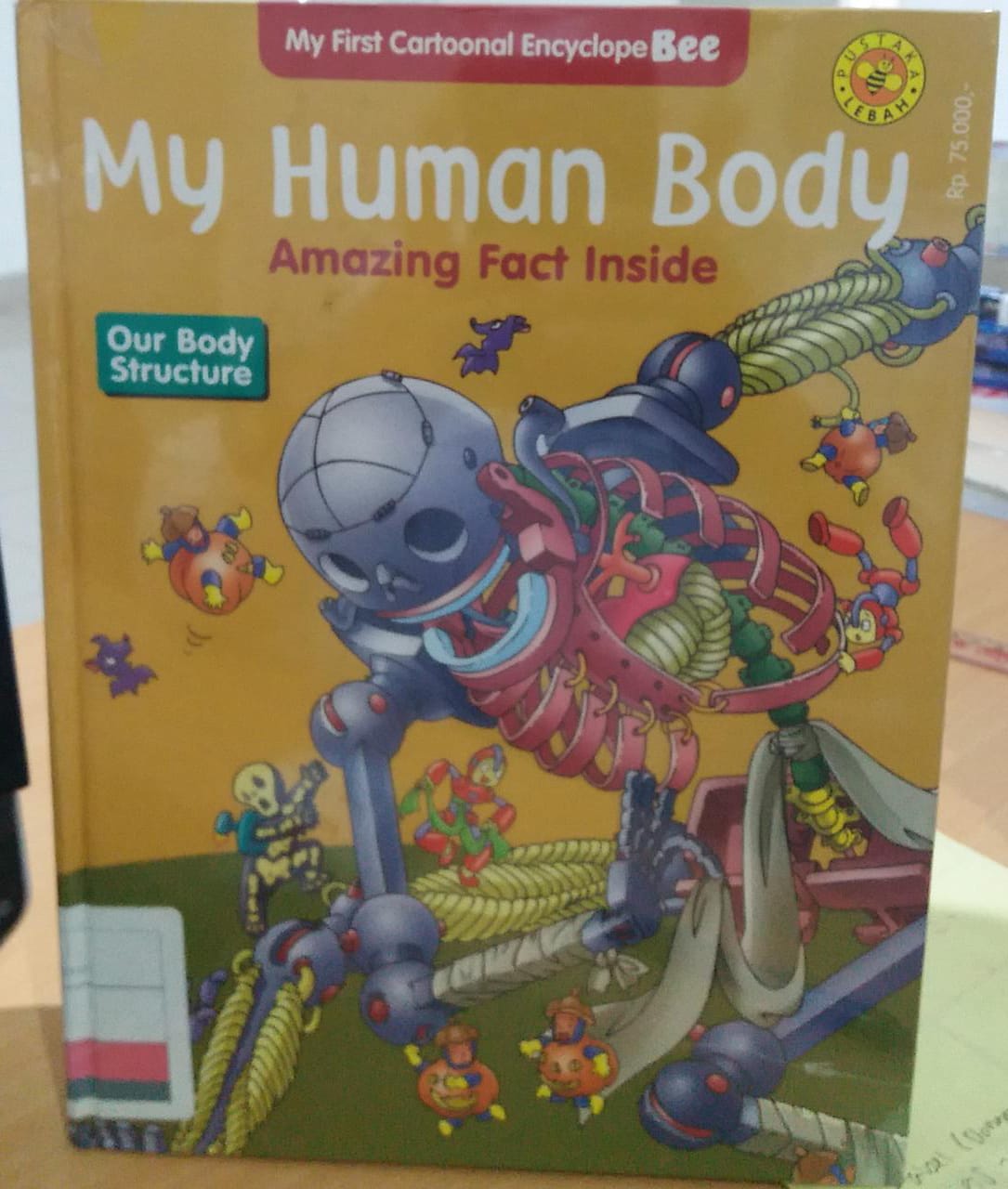 My human body amazing fact inside : our body structure