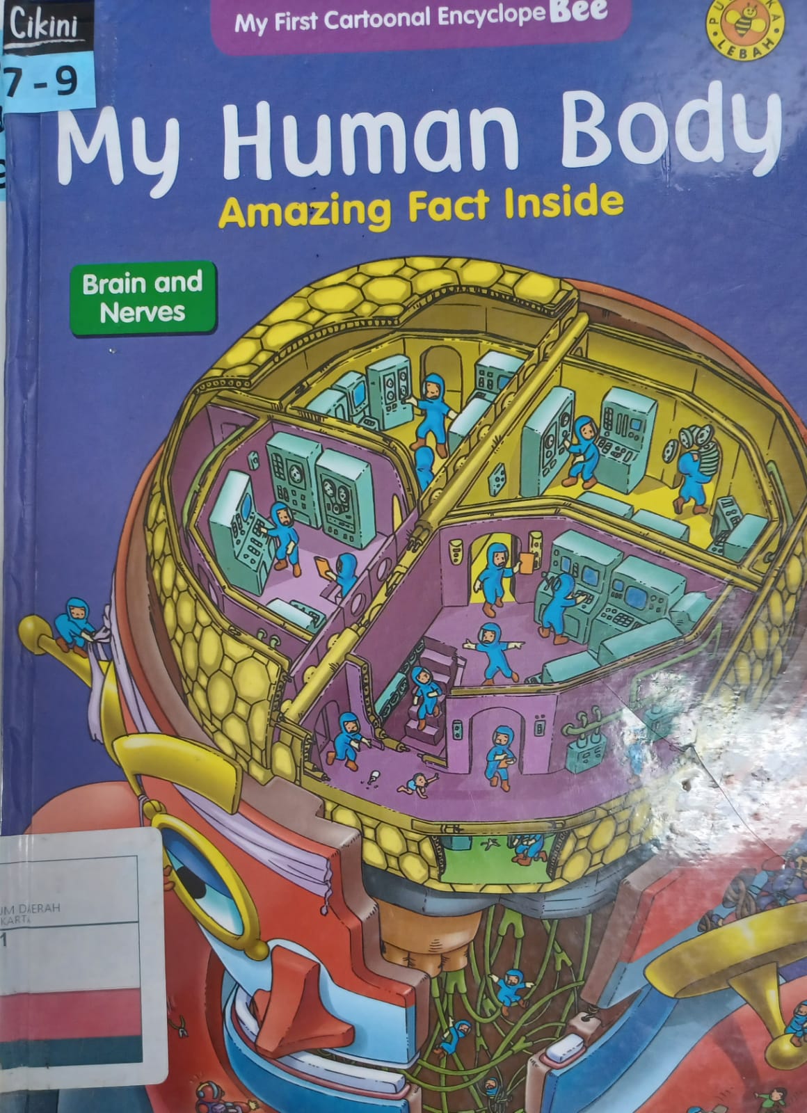 My Human Body Amazing Fact Inside : Brain and nerves