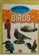 Kid's zone a book of birds