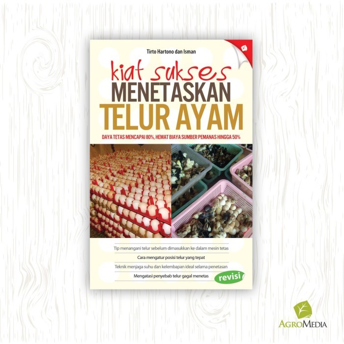 Kiat sukses menetaskan telur ayam