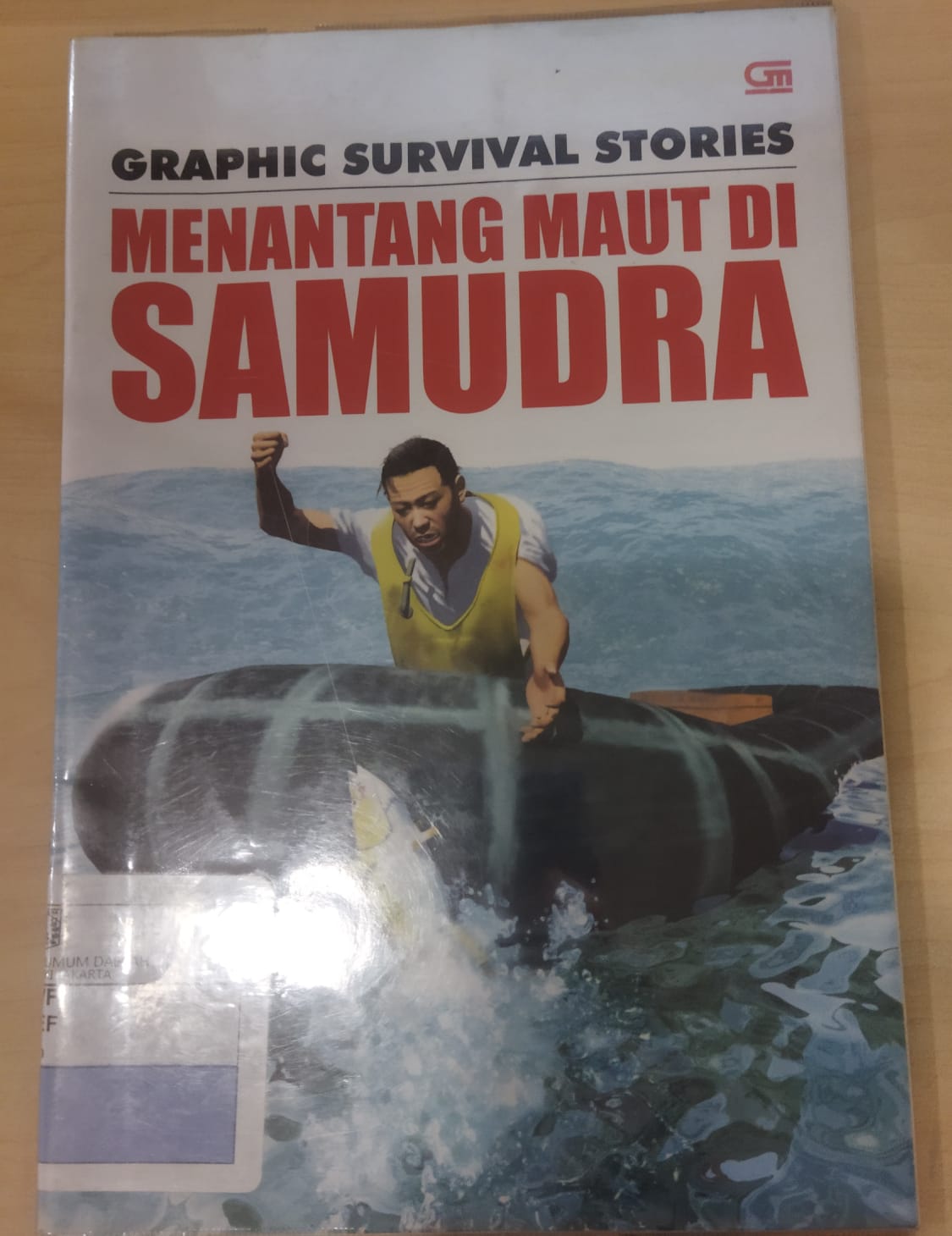 Graphic survival stories : menantang maut di samudra