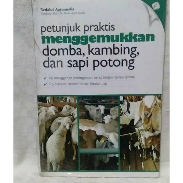 Petunjuk praktis menggemukkan domba, kambing, dan sapi potong