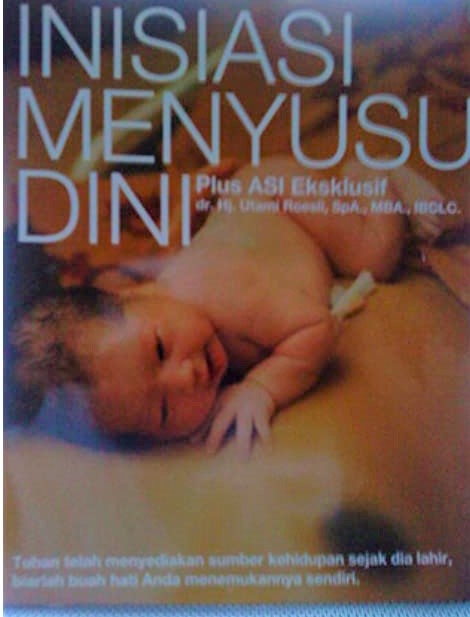 Panduan inisiasi menyusu dini plus ASI eksklusif
