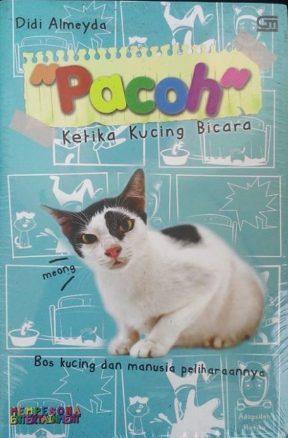 Pacoh : Ketika kucing bicara