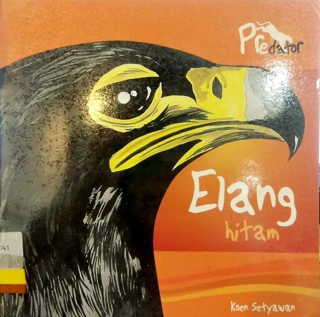 Predator : elang hitam