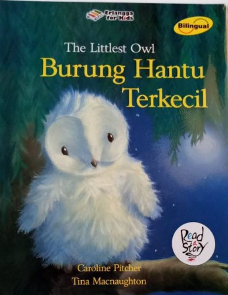 The Littlest Owl : Burung Hantu Terkecil