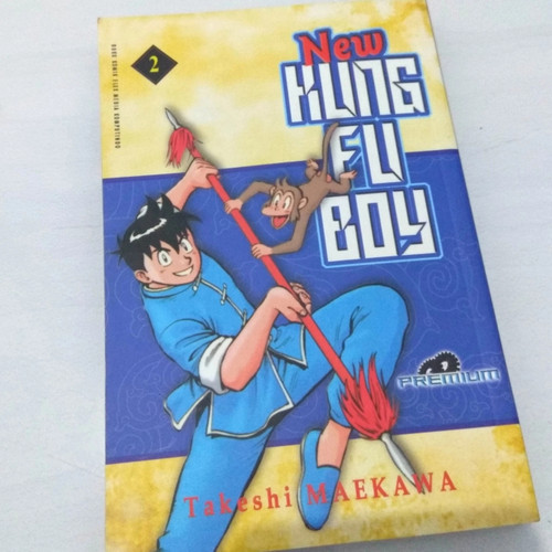 New kung fu boy 2