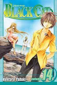 Black cat 14