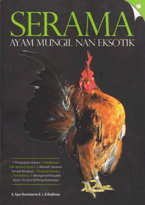 Serama : ayam mungil nan eksotik
