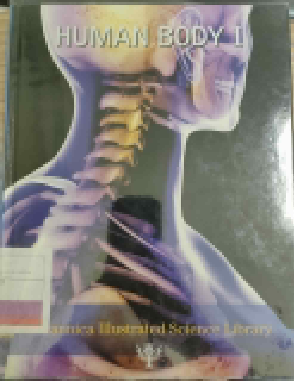 Human body 1
