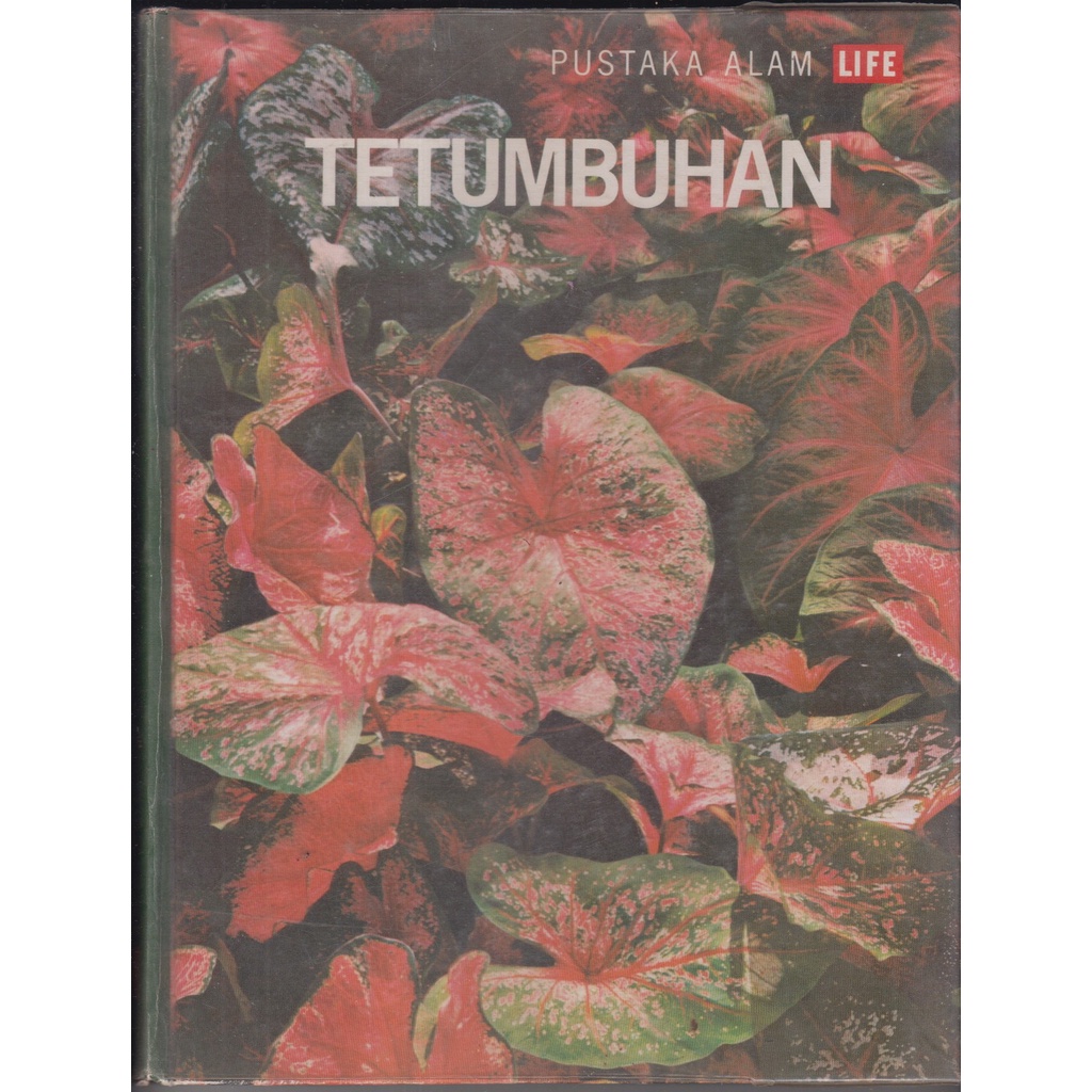Tetumbuhan