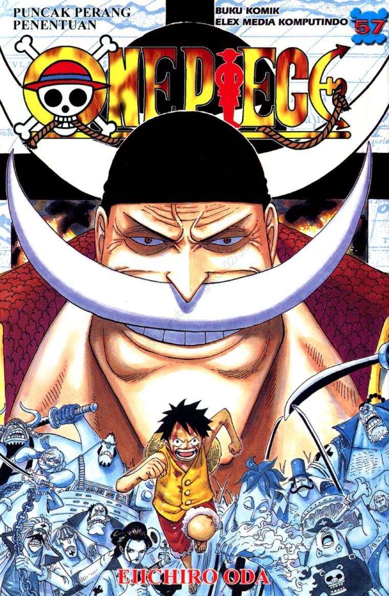 One piece 57