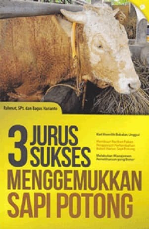 3 Jurus sukses menggemukkan sapi potong