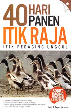 40 Hari panen itik raja : itik pedaging unggul
