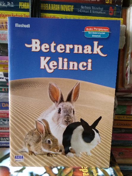 Beternak Kelinci / Mashudi; editor Nastiti Pudyaning Utami