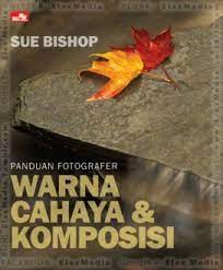Panduan Fotografer : Warna, cahaya, dan komposisi