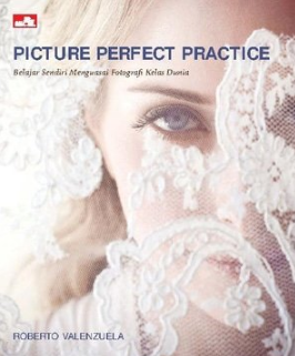 Picture perfect practice :  Belajar sendiri menguasai fotografi kelas dunia / Roberto Valenzuela