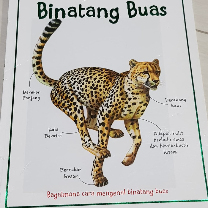 Fakta penting binatang buas / Sally Morgan