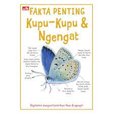 Fakta penting kupu-kupu dan ngamuk