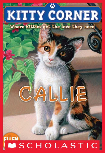 Callie (Kitty Corner) : where kitties get the love they need