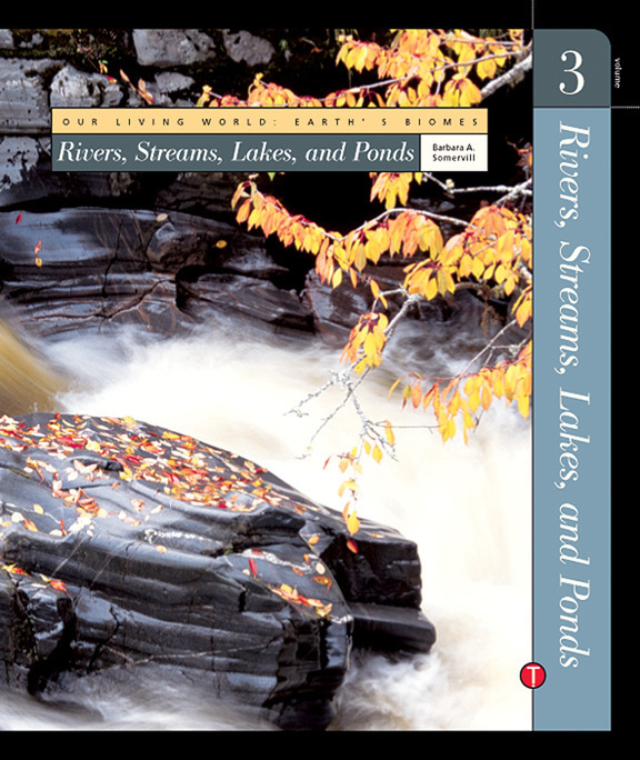 Our Living World : Earth's Biomes Volume 3 :  Rivers, Streams, Lakes, and Ponds / Barbara A Somervill