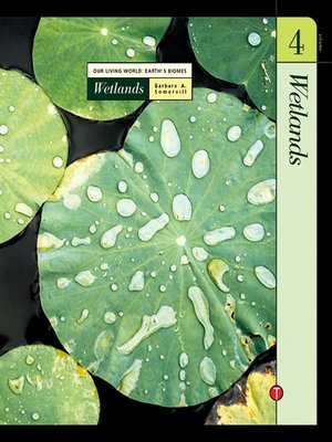 Our Living World : Earth's Biomes Volume 4 :  Wetlands / Barbara A Somervill