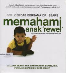 Memahami anak 'rewel' : mengasuh anak dengan kebutuhan tinggi