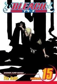 Bleach vol. 15
