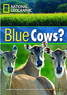 National geographic : Blue cows?