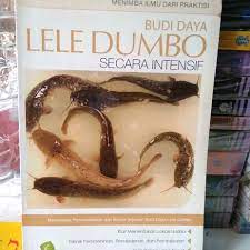 Budi Daya Lele Dumbo Secara Intensip / Khairuman SP