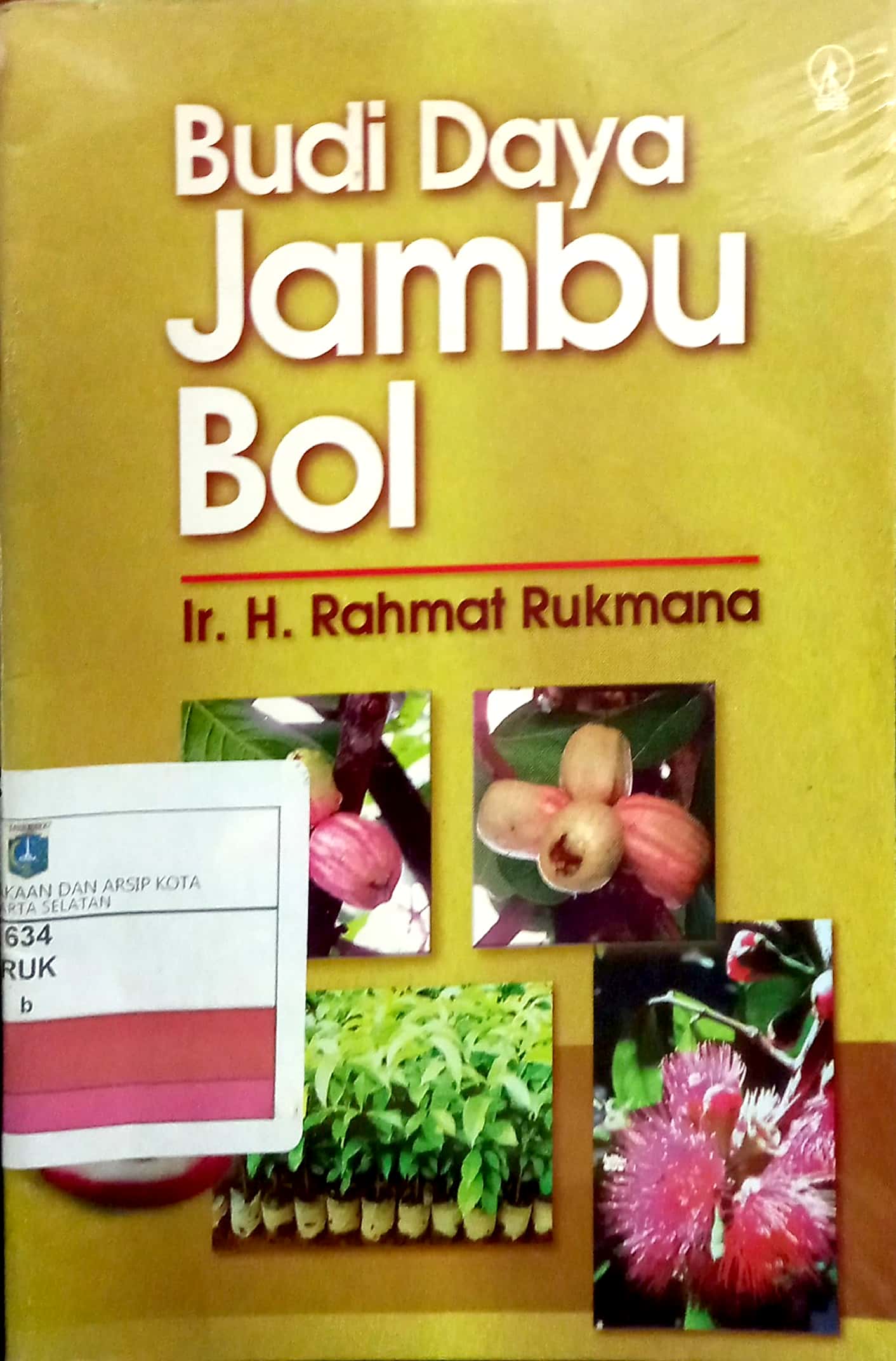Budi Daya Jambu Bol
