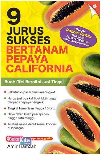 9 jurus sukses bertanam pepaya california