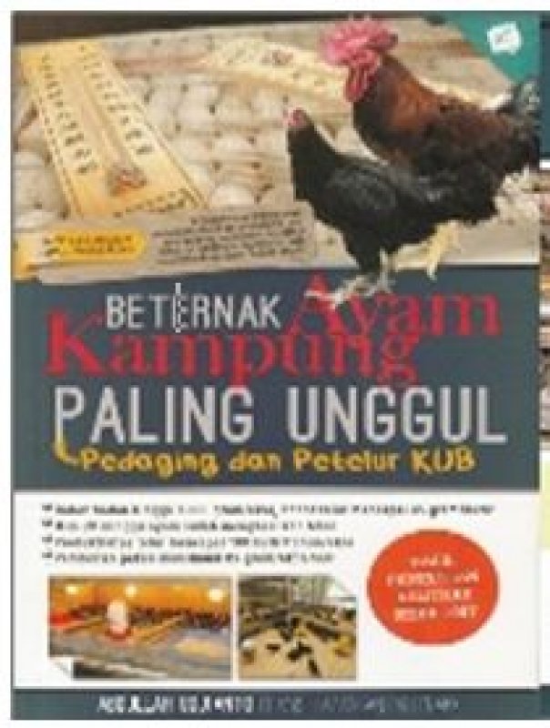 Beternak Ayam Kampung paling unggul / Abdullah Udjianto, Uswatun Hasanah ; Editor. Purwadaksi Rahmat