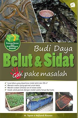 Budi daya Belut dan Sidat gak pake masalah
