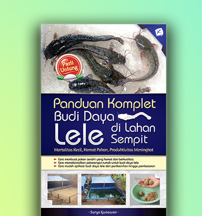 Panduan komplet budi daya Lele di lahan sempit