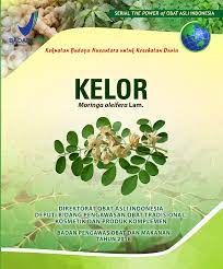 SERIAL THE POWER of Obat Asli Indonesia : Kelor (Morlinga oleifera Lam)