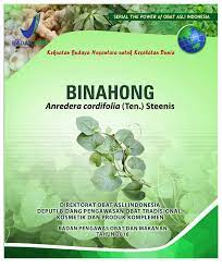 Binahong : Anredera cordifolia (Ten.) Steenis