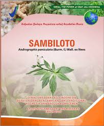 Sambiloto : Andrographis paniculata (Burm.f) Wall. ex Nees