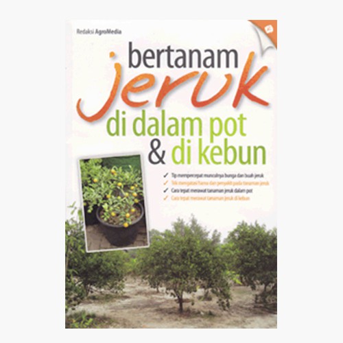 Bertanam jeruk di dalam pot & di kebun