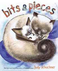 Bits & Pieces / Judy Schachner