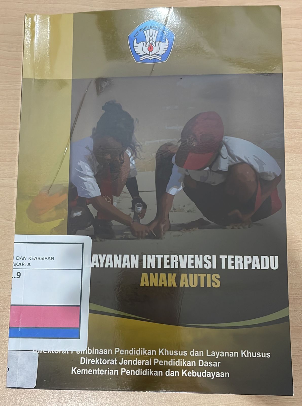 Layanan Intervensi Terpadu Anak Autis