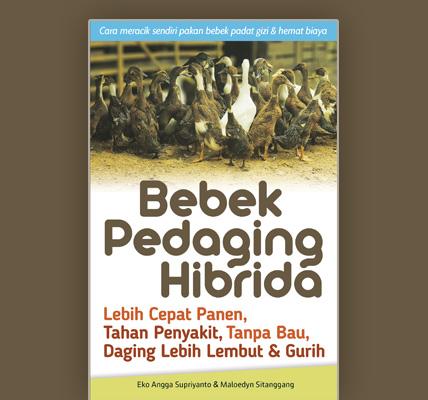 Bebek Pedaging Hibrida : Lebih Cepat Panen, Tahan Penyakit, Tanpa Bau, Daging Lebih Lembut & Gurih