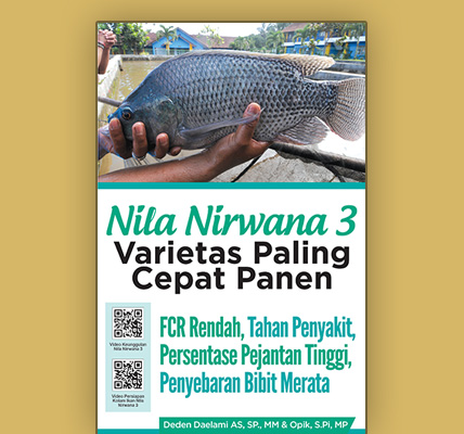 Nila Nirwana 3