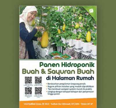 Panen Hidroponik Buah & Sayuran Buah di Halam Rumah