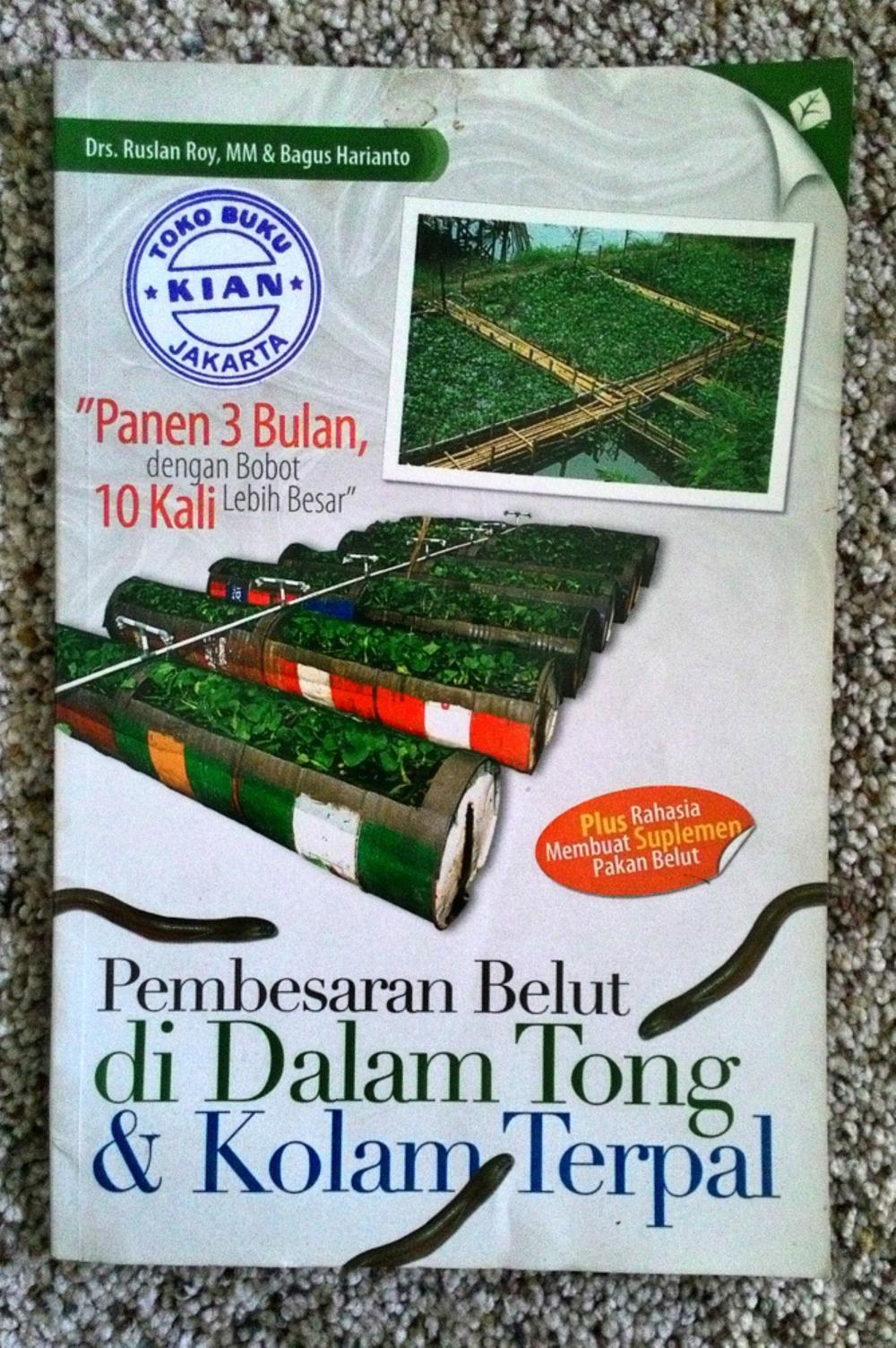 Pembesaran Belut di Dalam Tong dan Kolam Terpal