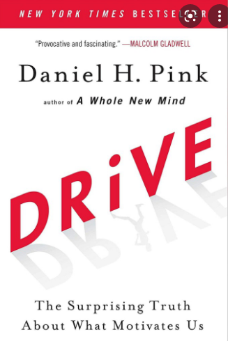 Drive : The Surprising Truth About What Motivates Us