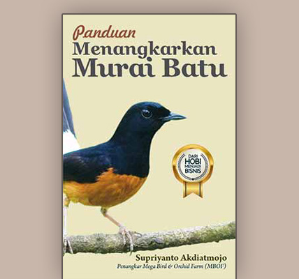 Panduan menangkarkan murai batu